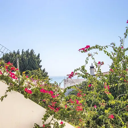 Διαμέρισμα Charming Old Town 1br 50m From Ac Wi-fi Parking