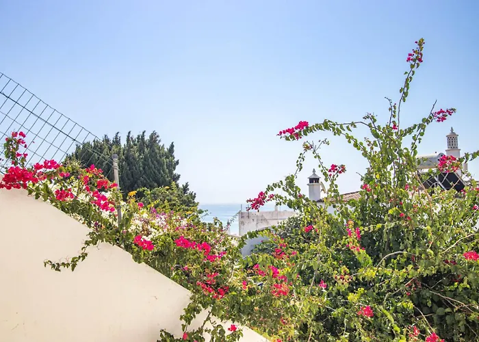 Apartmán Charming Old Town 1br 50m From Ac Wi-fi Parking