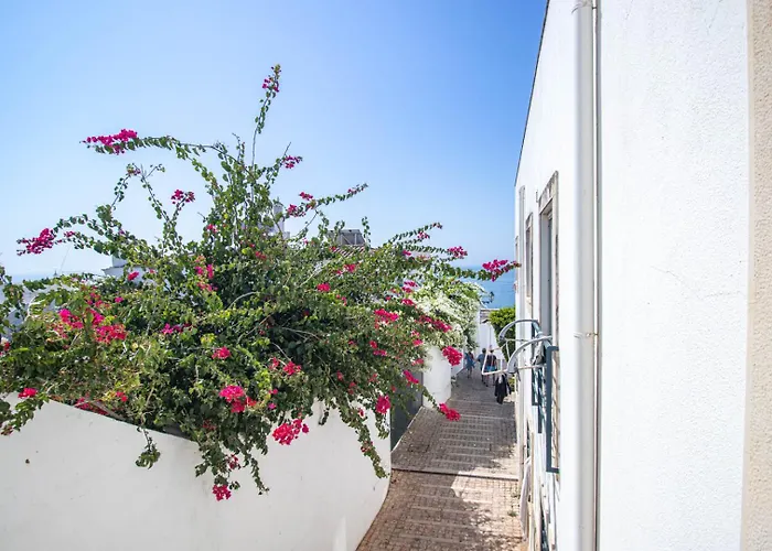 Charming Old Town 1br 50m From Ac Wi-fi Parking *